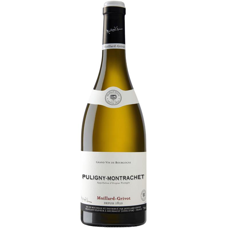 Puligny Montrachet    2023